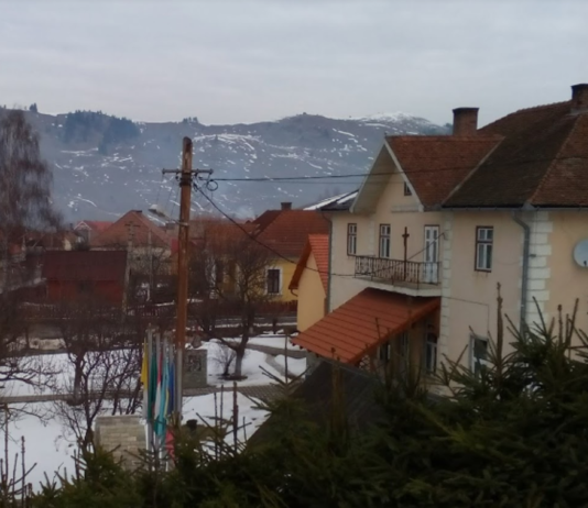 Tată lovit în cap cu o furcă și fiu împușcat în picior cu un pistol cu bile de cauciuc, în Lunca de Jos.