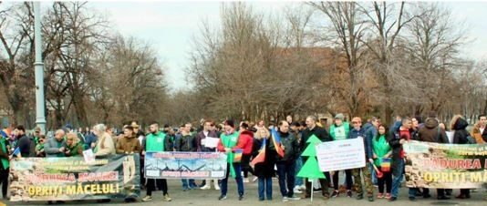 Scoateți drujba din pădure! – Stiri Naționale