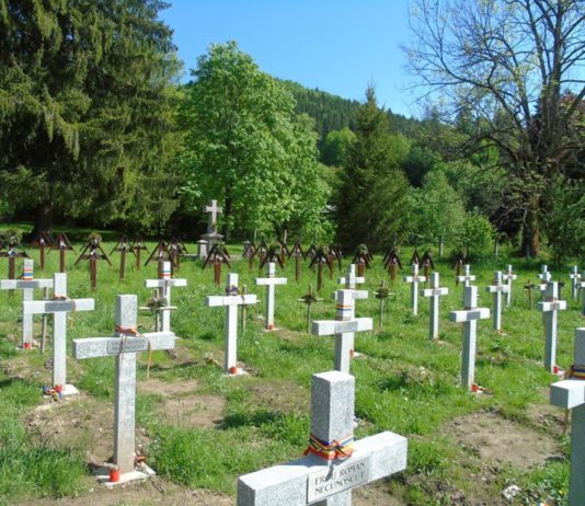 Cimitirul militar din Valea Uzului – Intervenţia judeţului Harghita în procesul Sânmărtin contra Dărmăneşti a devenit posibilă