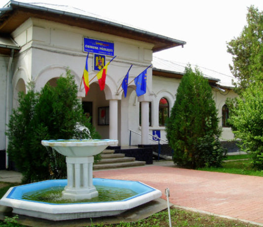 Cu ce proiecte pleaca la drum Primaria Paulesti in 2020