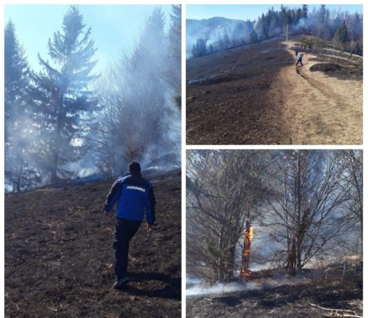 Incendiu produs la vegetația uscată în comuna Ceahlău