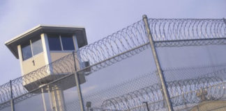 Incepe proiectarea unor penitenciare noi in judetele Prahova si Buzau