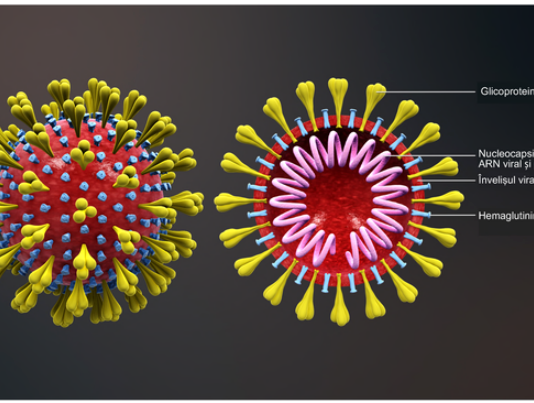 DSP Prahova ofera abecedarul despre coronavirus