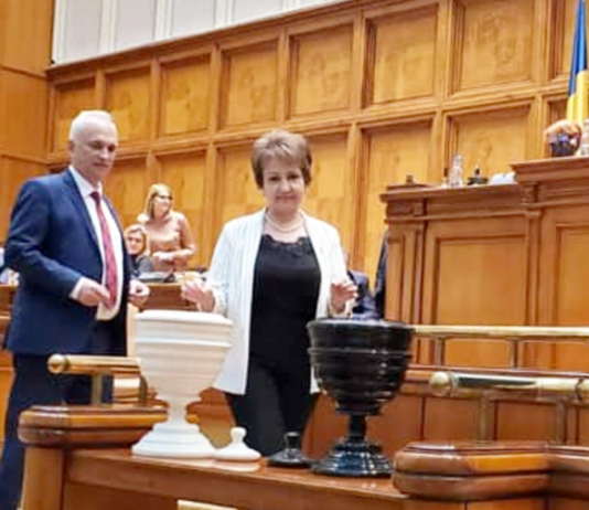Senatorul Emilia Arcan, mesaj dur după demiterea Guvernului Orban în Parlament