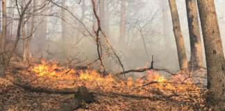 Pompieri și jandarmi s-au chinuit să stingă un incendiu pe munte, între Sinaia și Bușteni