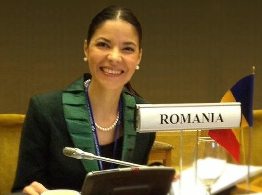 Birchall, New York, sedinta ONU si steagul Romaniei montat pe masina diplomatica