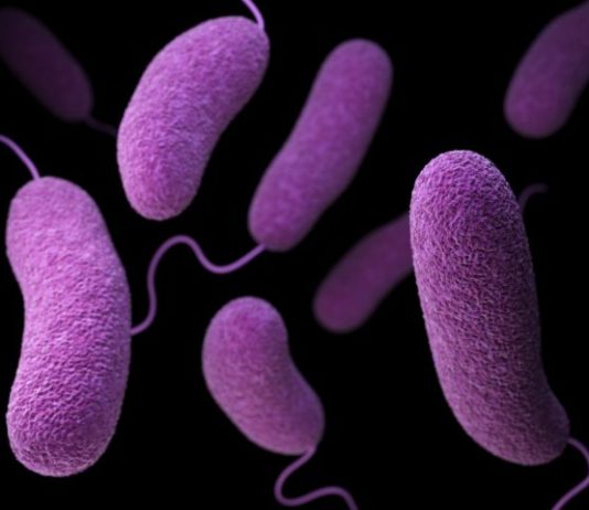 Infectiile urinare pot fi prevenite daca eliminam acest produs din alimentatie. Dovedit stiintific, pentru prima data in lume