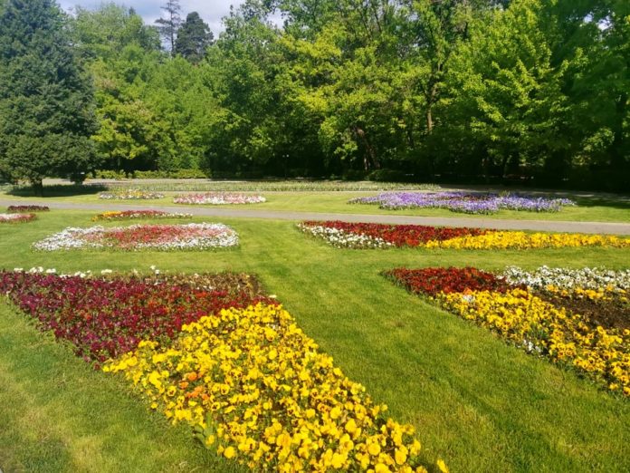 a7c0da215c9a51dc219fa25b5efedcee_XL