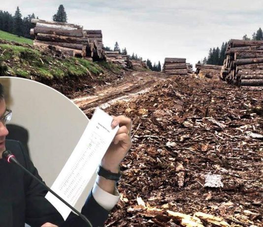 Partidul Ecologist solicită demisia ministrului Mediului, Apelor și Pădurilor