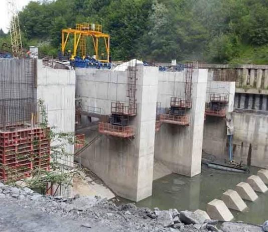PER cere poziționarea lui Costel Alexe pe construirea de hidrocentrale în arii naturale protejate în raport cu Green Deal