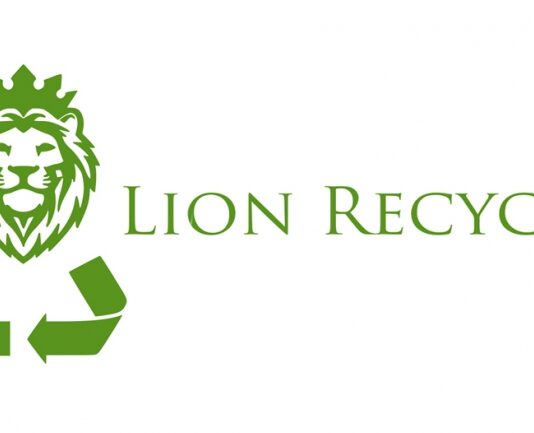 Lion Recycle: reguli de bază în colectarea și reciclarea deșeurilor