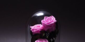 Livrareflori Moldova