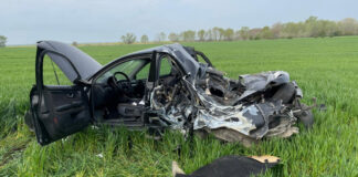 Un sofer a murit strivit, dupa ce masina in care se afla s-a izbit de un copac (FOTO)