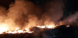 Primaria Bucov, amendata cu 30.000 de lei pentru incendiul deseurilor de pe camp