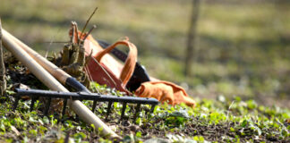 Primaria Floresti invita cetatenii comunei sa ia parte la un proiect de infrumusetare a localitatii
