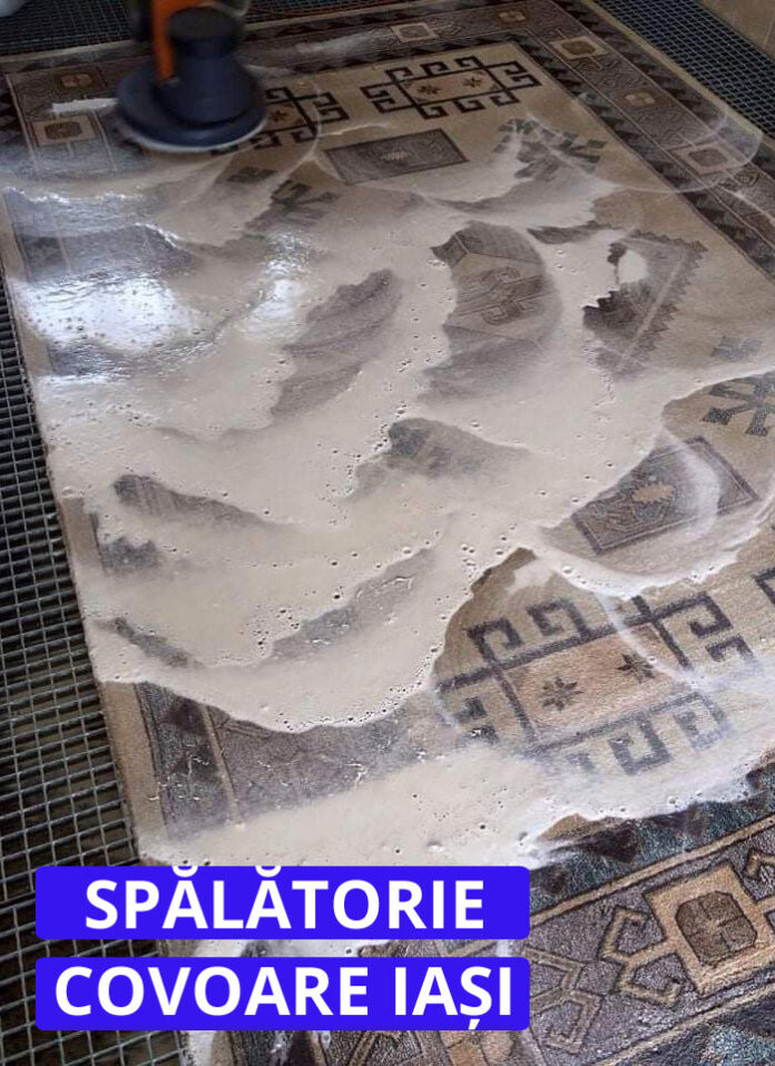 sapalatorie-covoare-iasi-2