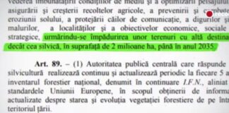 Florin Citu tocmai a anuntat, in stilul caracteristic (“o sa vedeti”) ca s-au inregistrat investitii record in economia Romaniei. – Ziarul Incisiv de Prahova