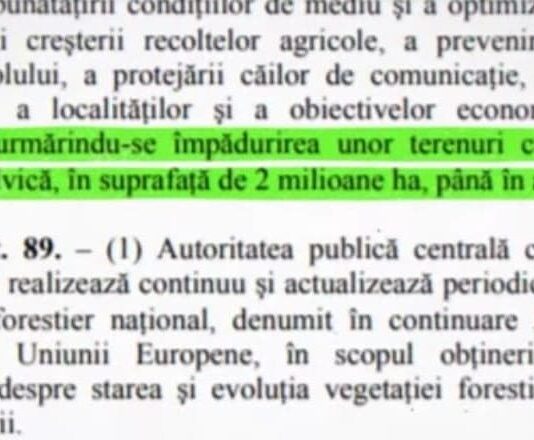 Florin Citu tocmai a anuntat, in stilul caracteristic (“o sa vedeti”) ca s-au inregistrat investitii record in economia Romaniei. – Ziarul Incisiv de Prahova