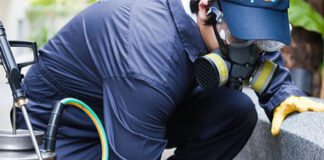 Scapa de daunatorii nedoriti cu serviciile de deratizare din Valcea