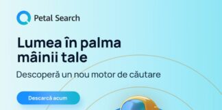 Petal Search sărbătorește primul an de la lansare