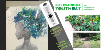 Plantele ne mișcă corpul – Tineret #FocusToGreenEcoLife 12 august – Ziua Internationala a Tineretului