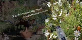 O zi din magia toamnei. Inspiratia #focustogreenecolife la final de vacanta