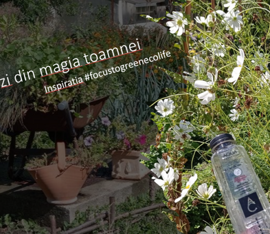 O zi din magia toamnei. Inspiratia #focustogreenecolife la final de vacanta