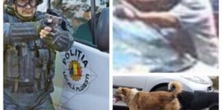 Andrei Volosevici si falimentului administratiei locale: problema cainilor vagabonzi, a persoanelor violente care practică cerşetoria si impotenta Politiei Locale Ploiesti