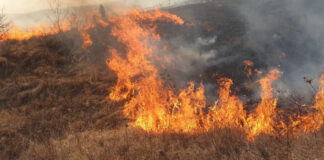 Peste 600 de incendii de vegetație au aruncat Prahova pe un nedorit loc I la nivel național