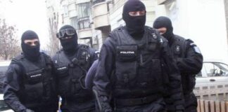 „N-are sens să cauți valori într-o țară care venerează crima organizată”