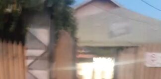 Video/Cine sunt interlopii care fac legea în Ploiesti? IPJ Prahova mai exista?