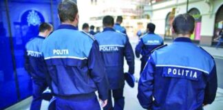 MUSCA LA ARAT PE TARLAUA M.A.I.