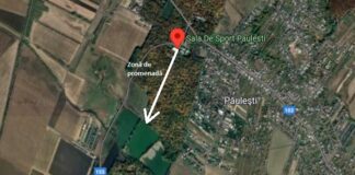 Avem imaginile cu viitoarea Alee de Promenadă din Pădurea Păulești