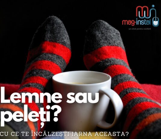 Centrală termică pe lemn sau peleți? Tu ce alegi? Centrală termică