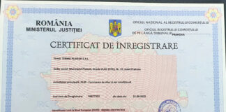 Consilierii locali chemați de urgență ca să voteze organigrama și statutul de funcții de la SC Termo Ploiești SRL