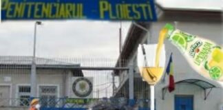 Care sunt legaturile periculoase dintre Penitenciarul Ploieşti, „administratia la firul ierbii”, Muresan din mafia deseurilor si Tymbark?