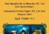 Don Quijote de la Mancha VS. Cei trei muschetari/Cavalerul tristei figuri VS. Cei trei mușca-tare/Ep.8 – POINT ! P.1 – Ziarul Incisiv de Prahova
