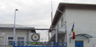 ,,La Piovra”, Caracatița, a fost inventată în România, cică italienii vin să ia lecții de la noi – Ziarul Incisiv de Prahova
