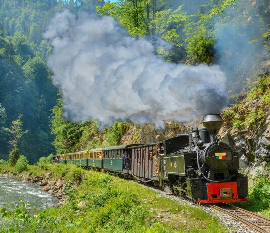 Mocănița de la Moldovița – Huțulca: O aventură captivantă prin Bucovina Moldovița