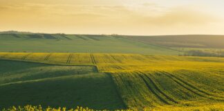 Agricultura este coloana vertebrală a societății noastre, oferind lumii hrană, fibre și alte resurse esențiale. Agricultura este coloana vertebrală a societății noastre, oferind lumii hrană, fibre și alte resurse esențiale.