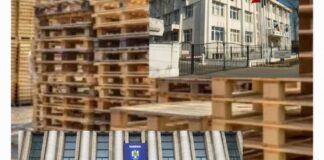 Evaziune fiscala la scara larga