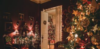 Ședința Foto de Crăciun: Capturând Magia Sarbatorilor cu Fotograf Alex Pasarelu