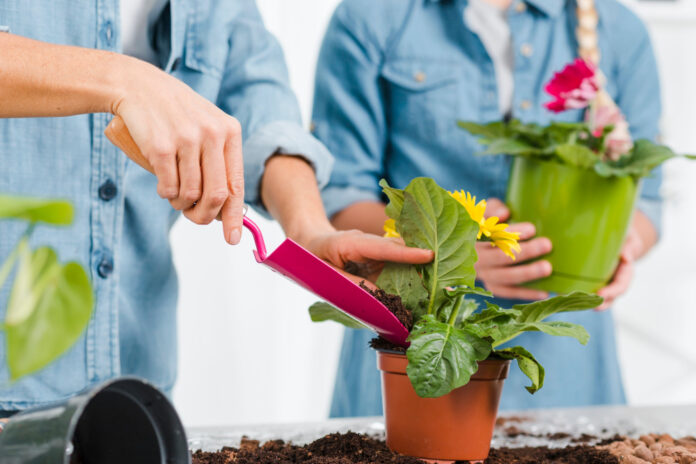 close-up-daughter-helping-mom-plant-flowers