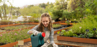 Ce trebuie să știi despre fertilizarea corectă a plantelor