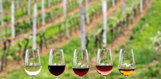 Degustare la o crama de vinuri – Ce trebuie sa stii?