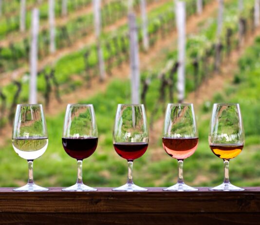 Degustare la o crama de vinuri – Ce trebuie sa stii?