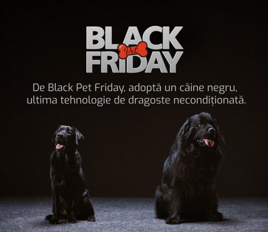 Black Pet Friday: o inițiativă de adopție care prezintă câinii negri din adăposturi ca ultima tehnologie de dragoste necondiționată