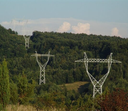 Transelectrica, TAQA, Meridiam, E-Infra și Fluor explorează fezabilitatea proiectului de transmisie a energiei electrice cu emisii reduse de carbon, în România
