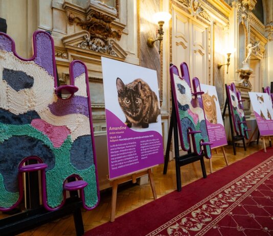 Miaunismul: un nou curent în artă inspirat de creativitatea pisicilor