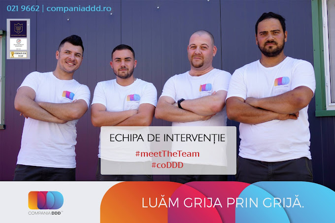Compania DDD (3)